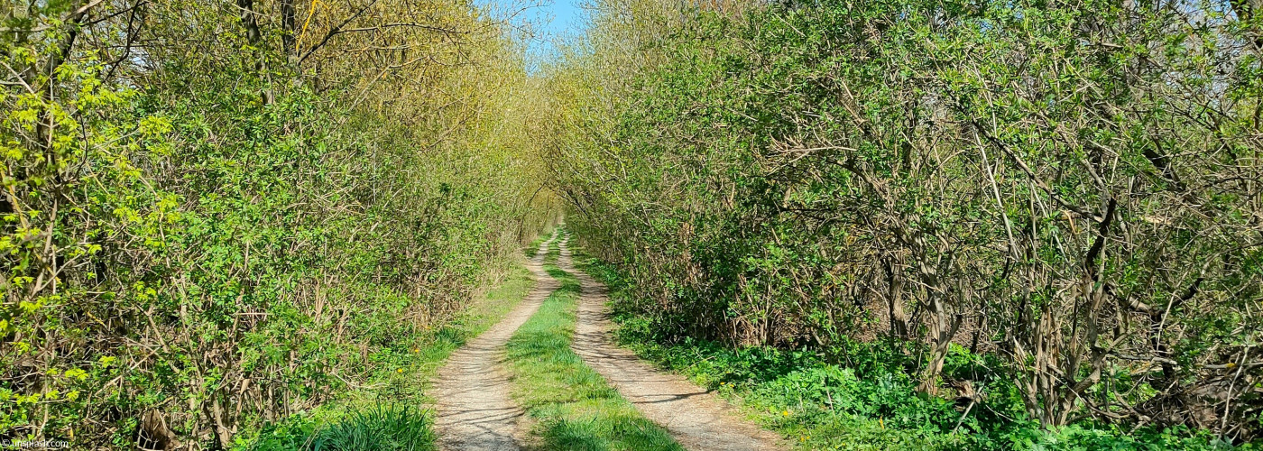 Weg