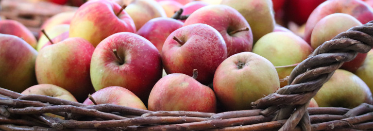 Äpfel